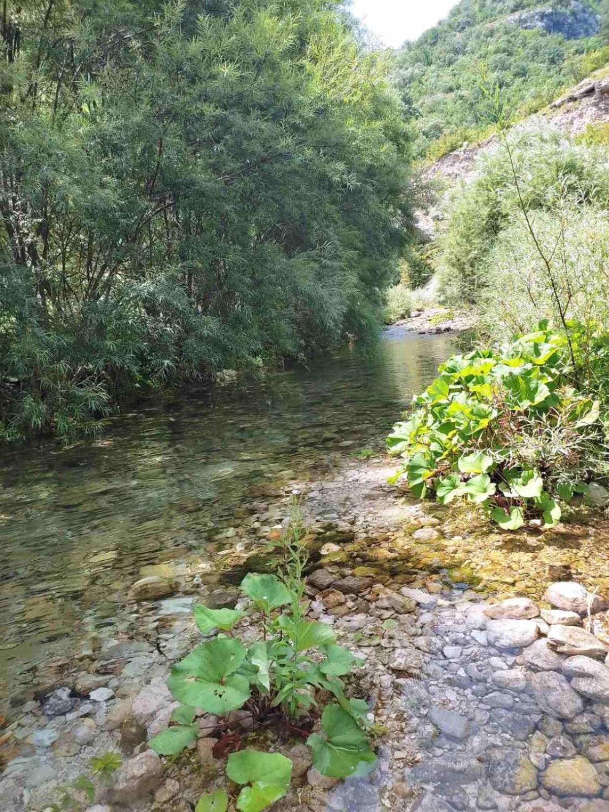 Villa Kuca Za Odmor Diva Mostar Exterior foto
